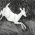20121216173640-autumn_doe_for_pr