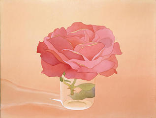 Pink Rose in Glass  ,Mark Adams