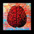 20121217051827-brain1-1