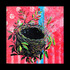 20121217055237-stamp_nest1