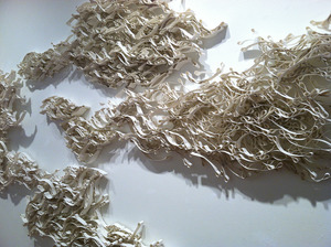 20121218230950-interlace_detail_smaller