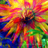 20121219205447-lively_dahlia_society6_watermark_72ppi