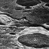 20121220075304-bartels_untitled_74_2009