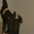 20121220180135-9siy2grgphdtqnmaknllvrdpehiu0hbu6gbha4feklq_wda0_zpwd1aqtyayjgwdvqjwh3d7iojmezj_d4ehkx8