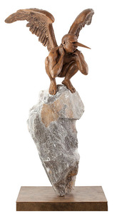 20121220221534-92-salum-en-roca