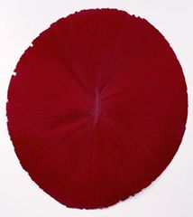 "Mandala IX (Wabi-Sabi Series)"  ,Tasha Ostrander