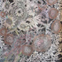 20121222212617-casey_watson_nightrose