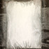 20121225172927-transcript_of_an_abandoned_thought