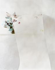 Ill Form and Void Full, Untitled 37,Laura Letinsky