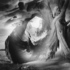 20121229010114-bt_driftwood