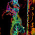20121229234501-mixedmedia