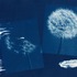 20121230000124-blue_wishes