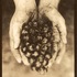 20121230000314-jacy_s_hands