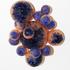 20121230062259-jonna_lee_holiday_2012