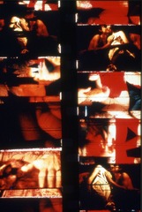 from Fuses,Carolee Schneemann