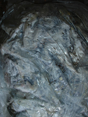 Plastic