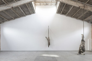 Installation View,Berlinde De Bruyckere