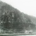 20121231152557-karni_dorell_2