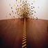 20121231234136-fontana___se_rie_logradouro___exposic_a_o_arquivo_geral__centro_de_arte_he_lio_oiticica___rio_de_janeiro__2006
