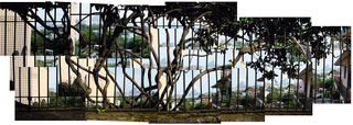 Pontos de Fuga,Marcos Chaves