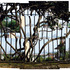 20121231234338-pontos-de-fuga___painel_com_21_imagens__impressa_o_lambda_em_diasec___180_x_522_cm___2008