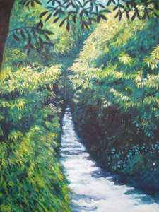 20130101204817-shady_lane