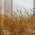 20130101224800-07__1113