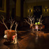 20130102020023-armory_instal_lg