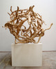20130119152007-perry_tangle