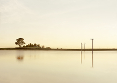 Cutting_wharf_i