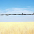 20130103170617-detailhallock_000