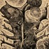 20130103170751-truncus-for-web