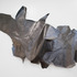 20130103222738-drfa_nancyrubins_drawing