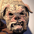20130104055711-i_can_assure_you_my_bite_is_worse_3