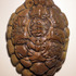 20130104060704-hazard_shell