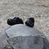 20130104105020-privat-planet2
