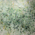 20130104165001-after_rain_em