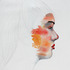 20130104210248-sarah-perfil-1