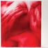 20130104213121-jd_228-red_touch__234_300_