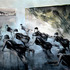 20130106083612-zsolt-bodoni_-untitled-_ants__-acrylic-and-oil-on-canvas_-195-x-250-cm