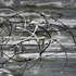 20130106113241-the_dancing_lines_45x71x1
