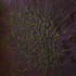 20130106154125-crash