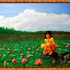 Framephoto20