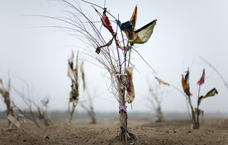 Black Garden (An Offering),Lisa Ross