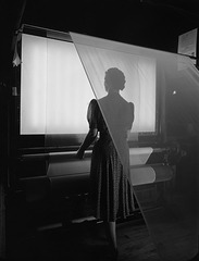 ,Ezra Stoller