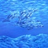 20130108190221-delfini_-_cm_40x40_-_olio_su_tela_-_2009