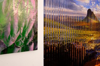 (studio image),Aaron Williams