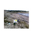 20130109021211-web_hyein-165x123