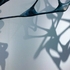20130109233822-wolfgang-einladung-_web1-704x374