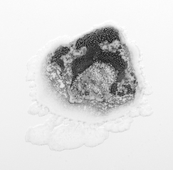 Mindscape (detail),RAGNA RÓBERTSDÓTTIR